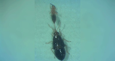 Bio Controls Fmt