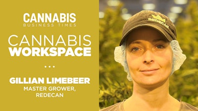 Cannabisworkspace2023 Limebeer