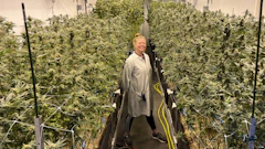 Sarah Wright, Head Cultivator at MOCA Humboldt, alongside Wookies and Grape Cookies.