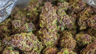 Huckleberryhill Nugs Dsc5506