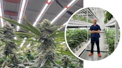 Jay Bouton, CULTA's senior director of cultivation, in the company's 20,000-square-foot indoor facility powered with Fluence LEDs.