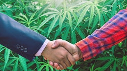 Mmjdeal Adobestock 523952997