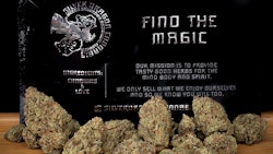 Silverdragon Resized