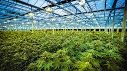 TerrAscend's 150,000-square-foot cultivation and processing facility in Boonton, N.J.