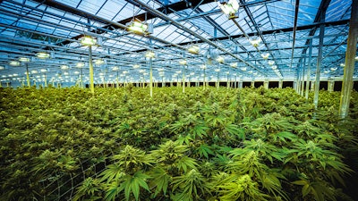 TerrAscend's 150,000-square-foot cultivation and processing facility in Boonton, N.J.