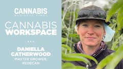 Cannabisworkspace2023 Catherwood