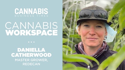 Cannabisworkspace2023 Catherwood