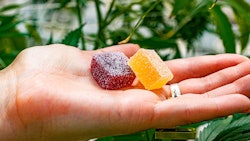 Edibles Adobestock 337278923