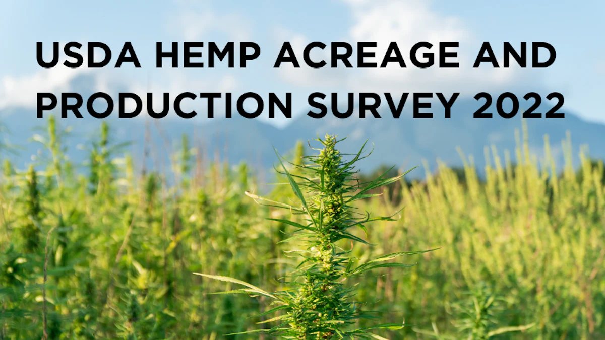Hemp Numbers Plummet Across the Board in 2022 USDA Acreage and ...