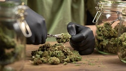 Frequent glove changes can help to minimize contamination. If employees touch anything besides the flower and their shears or freshly sanitized surfaces and tools, it makes sense to do a quick glove change.