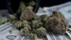 Mj Monday Adobestock 397678117