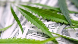 Mjmoney Adobestock 262881844