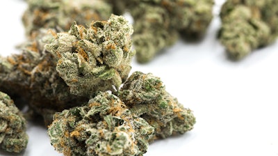 Nugs Adobestock 216716019
