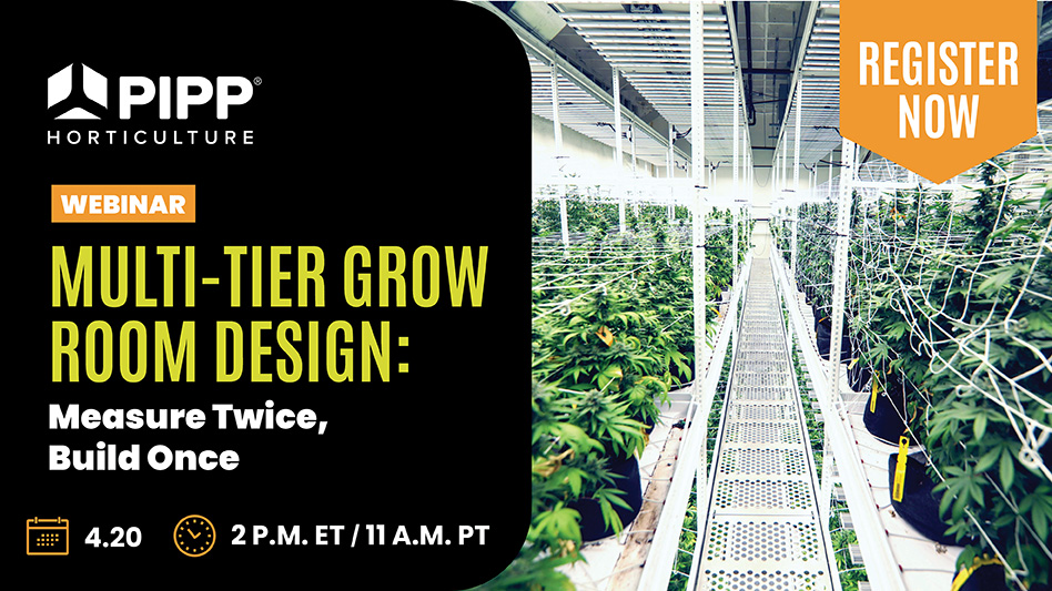 Pipp Webinar 2023 Topstory