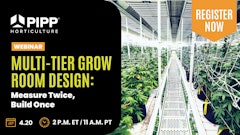 Pipp Webinar 2023 Topstory