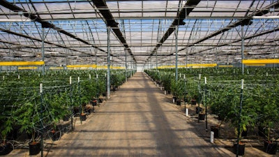 Riverview Farms Greenhouse