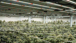 A lighting retrofit can be accomplished in stages to spread out costs and maximize rebates.