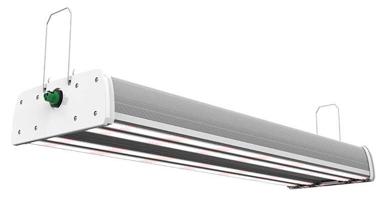 Fluence Raptr Led