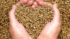 Hempheartseeds