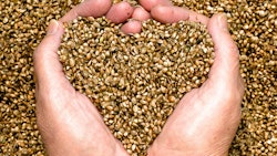 Hempheartseeds