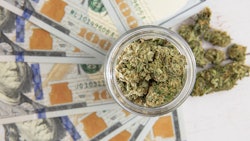 Mj ca money Adobestock 385659500