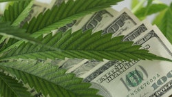 Mjmoney Adobestock 224299558