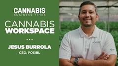 Posibl Cannabis Workspace Graphic