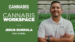Posibl Cannabis Workspace Graphic