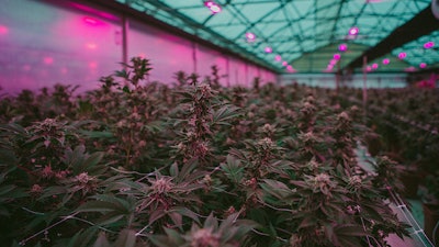 Posibl Photo Credit Ben Lalande 0016 Resized