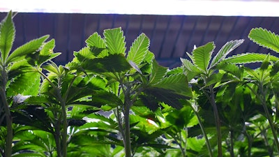 Prop5