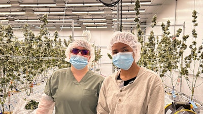 Root & Bloom's cultivation facility in Massachusetts launched in 2022.