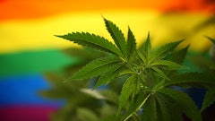 Cannabisandpride