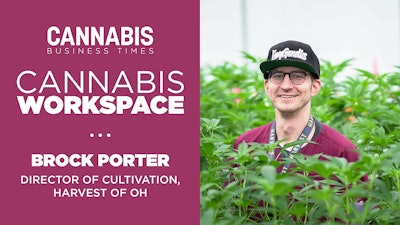 Cannabisworkspace2023 Porter