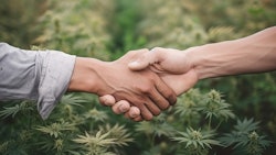 Handshake Adobestock 582994604