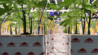 Irrigation