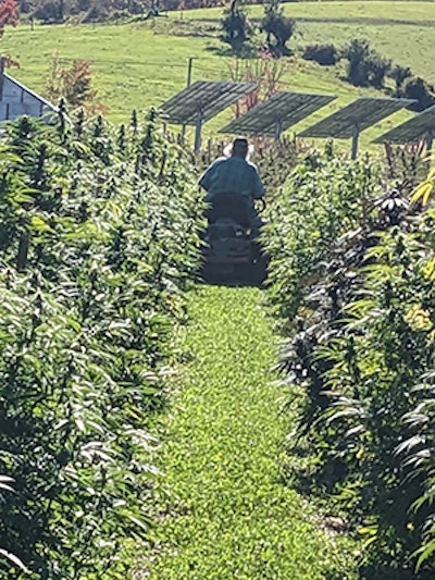 Slackhollow1 Resized