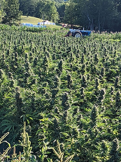 Slackhollow2 Resized