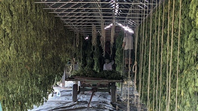 Slackhollow4 Resized