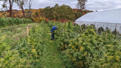 Slackhollow5 Resized