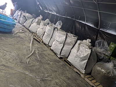 Slackhollow6 Resized