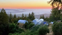 Just above the fog line, That Good Good Farm includes sun-grown craft cannabis positioned on various terraces scattered throughout a 300-acre property overlooking the Anderson Valley in Mendocino County, Calif.