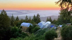 Just above the fog line, That Good Good Farm includes sun-grown craft cannabis positioned on various terraces scattered throughout a 300-acre property overlooking the Anderson Valley in Mendocino County, Calif.