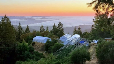Just above the fog line, That Good Good Farm includes sun-grown craft cannabis positioned on various terraces scattered throughout a 300-acre property overlooking the Anderson Valley in Mendocino County, Calif.