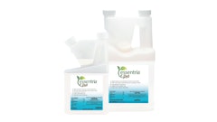 Top Story Ate Central Life