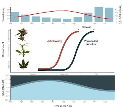 Cbt Figure 033123 V3 Crop3