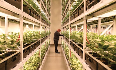 Full Width Article Image Vert