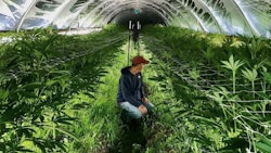 Chris Bechler, COO of Rebel Spirit Cannabis based in Eugene, Oregon.