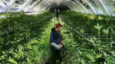 Chris Bechler, COO of Rebel Spirit Cannabis based in Eugene, Oregon.