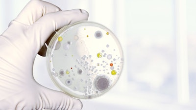Moldtesting Adobestock 96110369