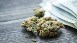 Moneynug Adobestock 112254492